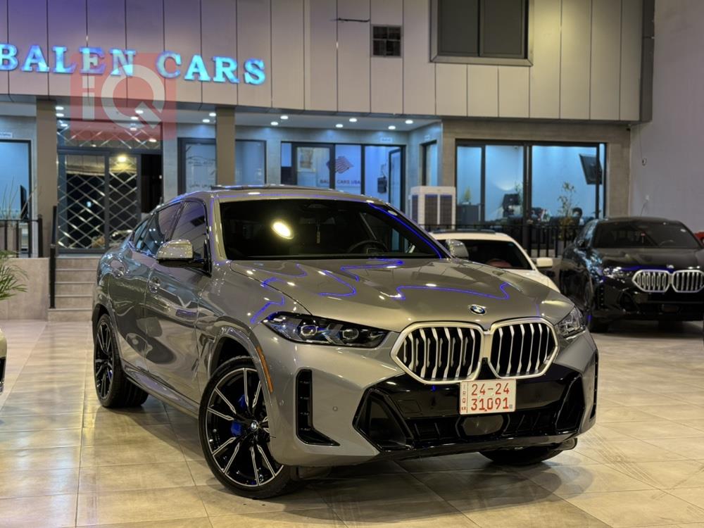 BMW X6